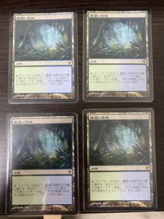 mtg 霧深い雨林 日本語 4枚セット - メルカリ