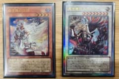 遊戯王 黒き竜のエクレシア 白き竜の落胤 セット - メルカリ