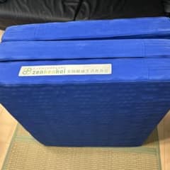 ヘルスウェーブゴールド 施術用 NSP マットレス - メルカリ