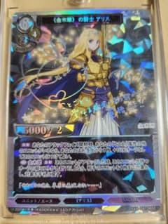 m13863566640_1.jpg?1728363261