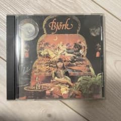 希少盤 Bjork Gudmundsdottirビョーク1977年幼少期アルバム - メルカリ