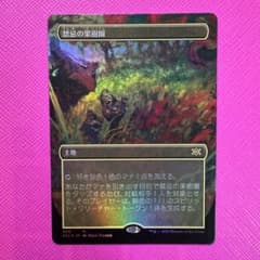 MTG】禁忌の果樹園 Foil - メルカリ