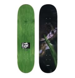 m25322216806_1.jpg?1760179872