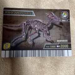 m27024868269_1.jpg?1720252970