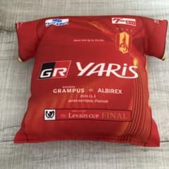 希少・当選品】名古屋グランパス ヴァスティッチ 直筆サイン入り写真