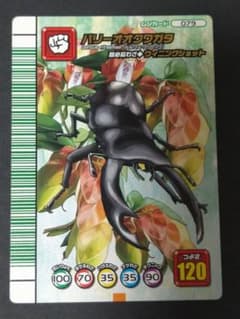 ムシキング パリーオオクワガタ 5周年 - メルカリ