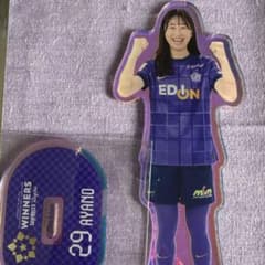 カ*認様 ②サンフレッチェ広島レジーナ 皇后杯優勝記念オーロラ