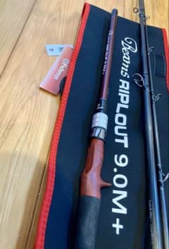 fishmanフィッシュマン ビームスリプラウト9.0M＋ ワンオーナー - メルカリ