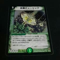 応援チューリップ エラーカード - メルカリ