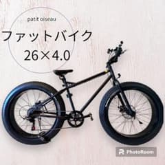 m29224505984_1.jpg?1698727532