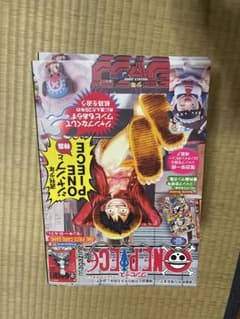 ワンピースマガジン20再販分 12冊最安値 ︎付録のカードはありません