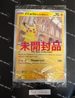 Pikachu at the Museum ピカチュウ ロンドン自然史博物館15 - メルカリ
