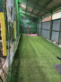 本格 とりかご バッティングゲージ 硬式 練習 室内練習場 ネット 人工