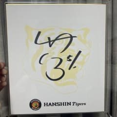 m23039985642_1.jpg?1716292318