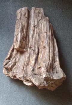 m23552598254_1.jpg?1748677917