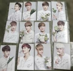 EXO NATURE REPUBLIC トレカ12枚セット プラス1枚 - メルカリ
