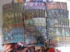 m34184597524_1.jpg?1760104590