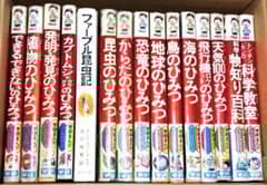 m36853377383_1.jpg?1761139182