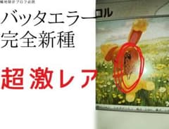 最終値下げ ポケモンカード ミミロル バッタエラーカード（エラー品