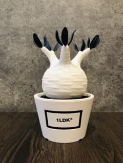 1LDK BOTANIZE ボタナイズ グラキリス フィギュア メディコムトイ