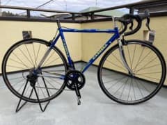 CARRERA zeus 青:カラーオーダー - メルカリ