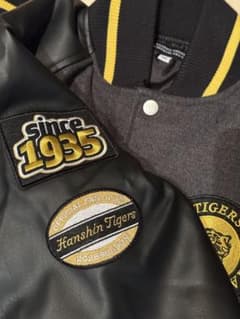 阪神タイガースFCダイヤモンドプラス特典セミオーダースタジアム