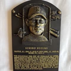 m30167530674_1.jpg?1755653816