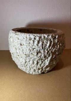 大谷石 中品サイズ アガベ 植木鉢 盆栽鉢 天然石 - メルカリ