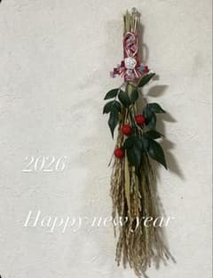 m31595102896_1.jpg?1766149097