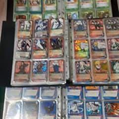 m31645373834_1.jpg?1723301198