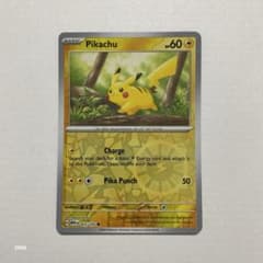 m32115886383_1.jpg?1751201740