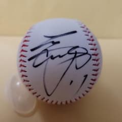 m32873952653_1.jpg?1706008664