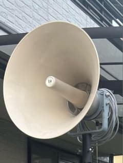 m44537899486_1.jpg?1750670047