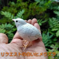 m45158542046_1.jpg?1756605247