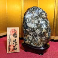 m46262032332_1.jpg?1727614138