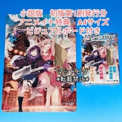 アニメイト特典付き 超かぐや姫 ファミ通文庫 小説版 初版分