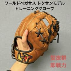 1036 ワールドペガサス トクサンモデル 即戦力 トレーニンググローブ