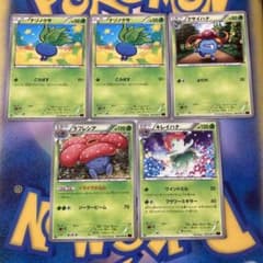 m46997222896_1.jpg?1736079762