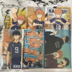 ハイキュー!! 日向翔陽 影山飛雄 クリアカードコレクション 烏野高校