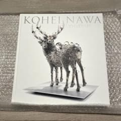 名和晃平 ドローイング付き SYNTHESIS 作品集 図録 - メルカリ