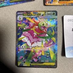 m48513126799_1.jpg?1766321885