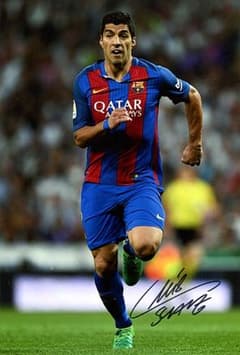 m48577610229_1.jpg?1533131789