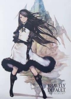 新品未使用・限定版・極美品】ブレイブリーデフォルト B2の特大 AR