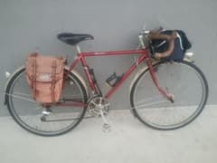 m49538616316_1.jpg?1742167479