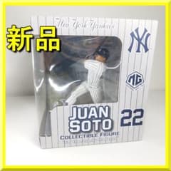 フアン ファン ソト ボブルヘッド フィギュア JUAN SOTO バ h810