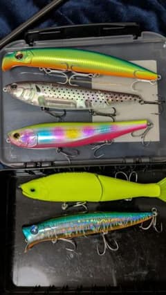 まとめ売り ジョイクロ マットチャート ガボッツ150 アマゾンペンシル