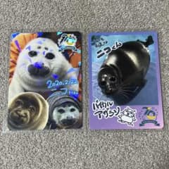 鳥羽水族館 コレクションカード バイカルアザラシ ニコ(レア) - メルカリ