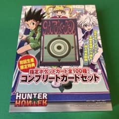 ハンターハンター 指定ポケットカード 全100種 コンプリートカード