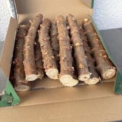 キャッサバ苗木白甘味種20cm 10~9本 - メルカリ