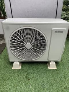 m41839563339_1.jpg?1755305553